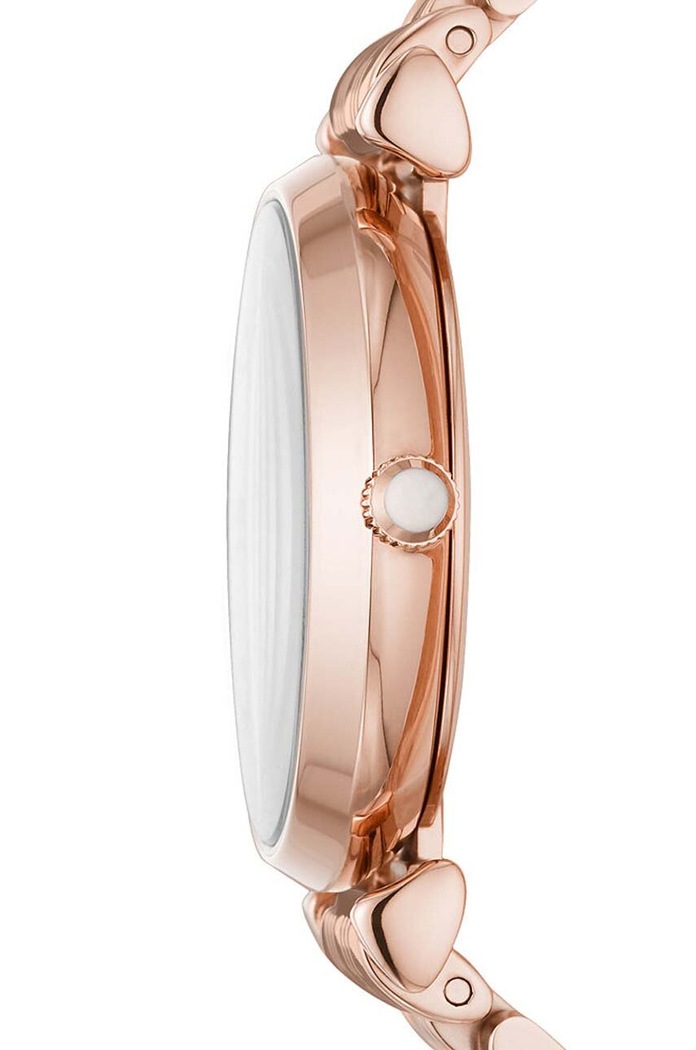 Doplnky Hodinky Emporio Armani AR11244 AR11244 zlatá