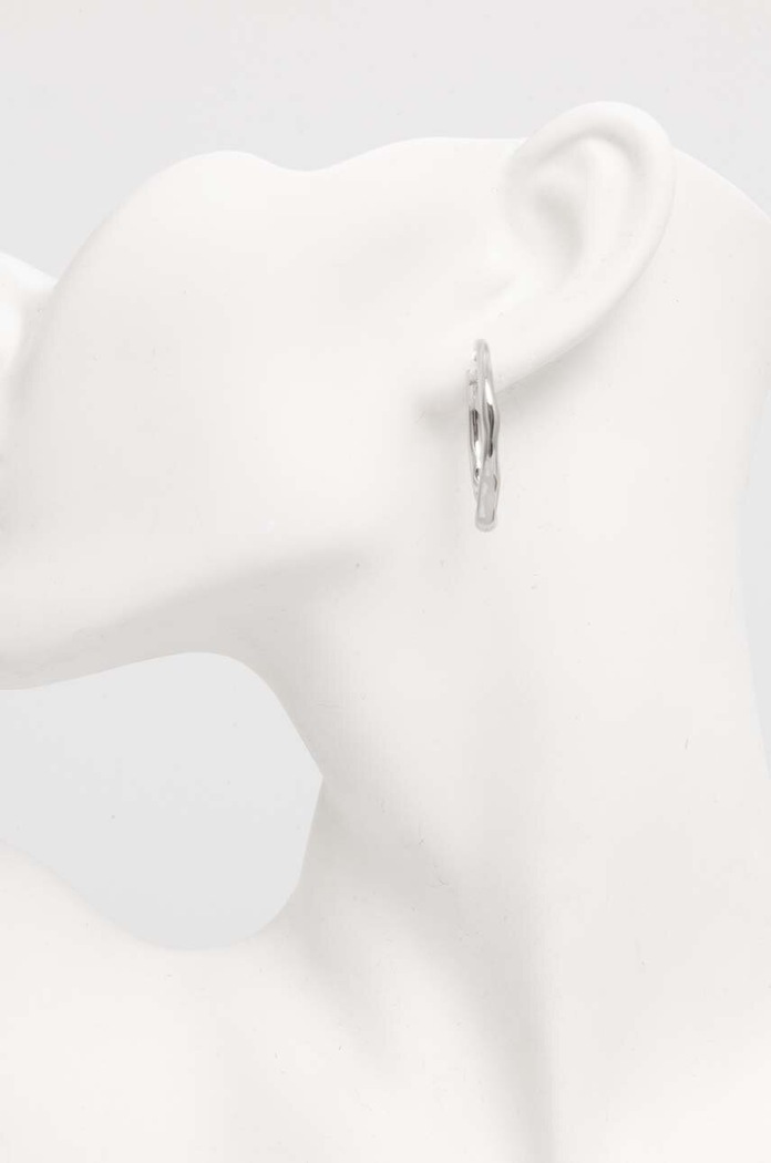 Σκουλαρίκια Trussardi TJAXA04 ασημί AA00