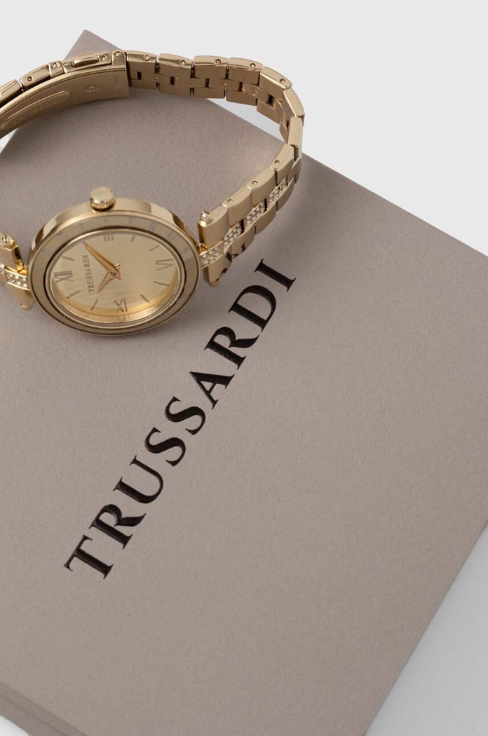 Doplňky Hodinky Trussardi R2453145508 zlatá