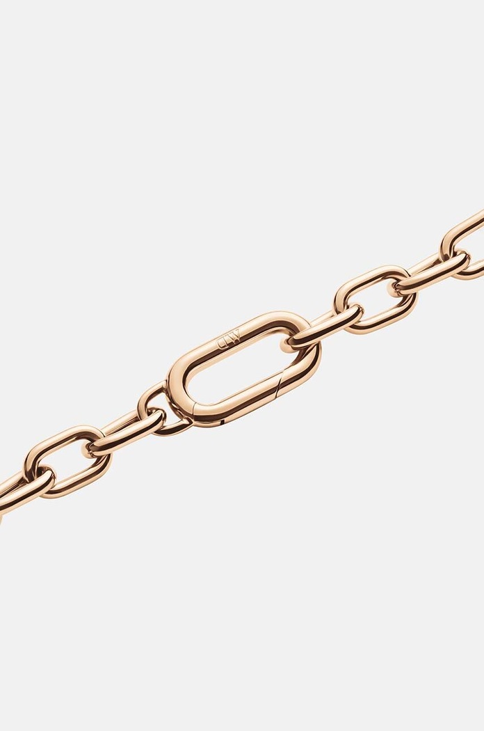 Doplnky Náhrdelník Daniel Wellington DW00400571 zlatá