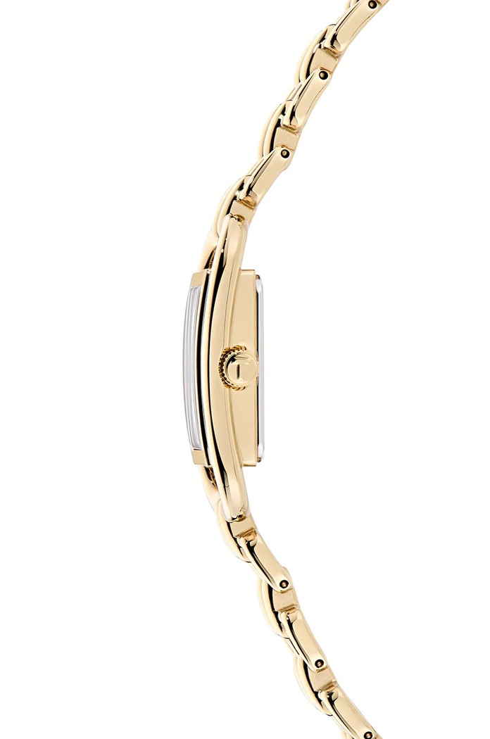 Часы Ted Baker BKPTTF405 золотой AA00