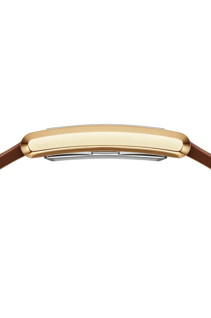 Hodinky Daniel Wellington hnědá DW00100696