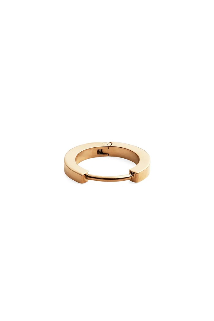Daniel Wellington cercel DW00400872 aur AA00