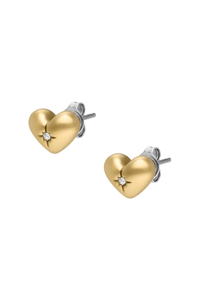 Accesorii Fossil cercei SADIE JF04832710 aur
