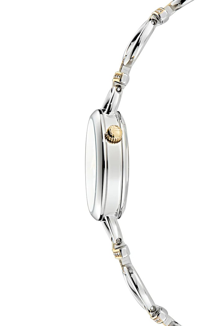 Ted Baker ceas BKPLIS503 argintiu AA00