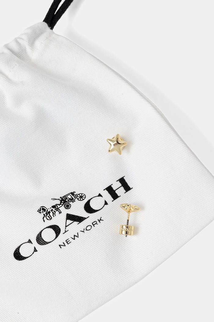 Accesorii Coach cercei 37546483GLD710 aur