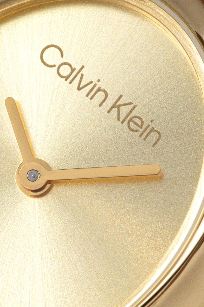 Calvin Klein hodinky dámske 25100147 zlatá AA00