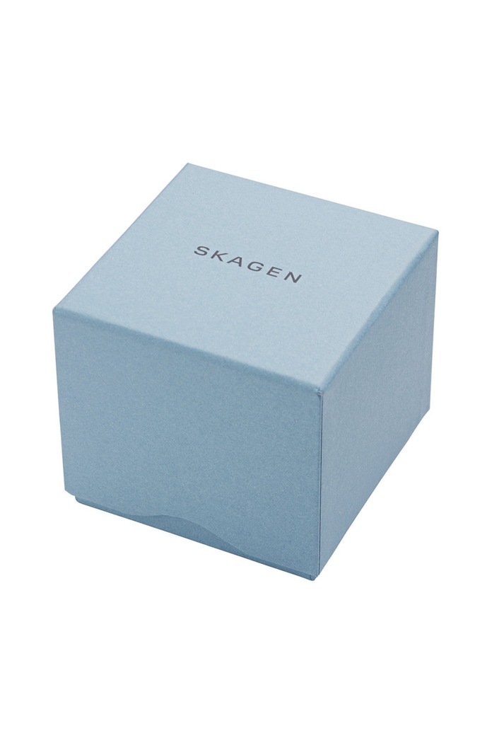Ceas SKW6734 Skagen argintiu SKW6734