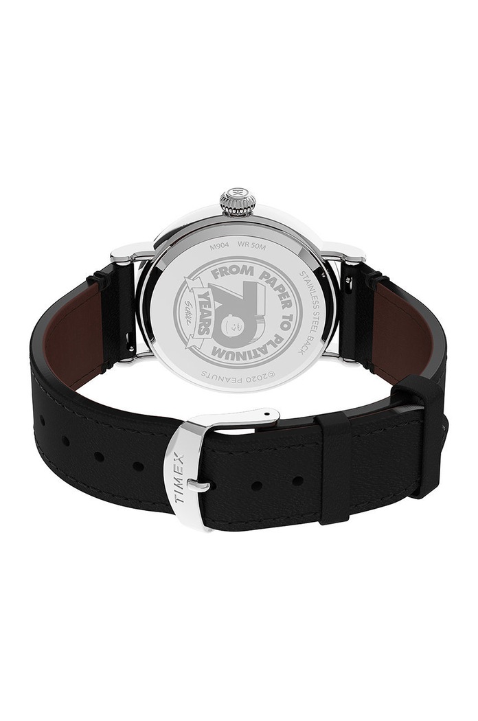 Hodinky Timex TW2U71100 TW2U71100 stříbrná