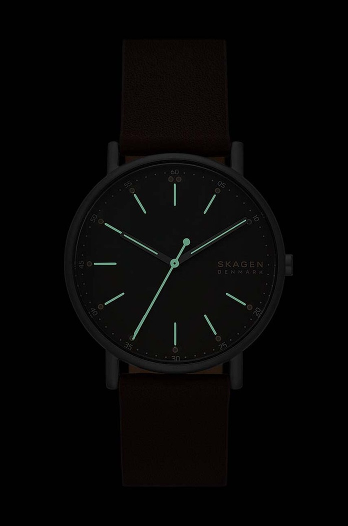 Hodinky Skagen hnedá SKW6860