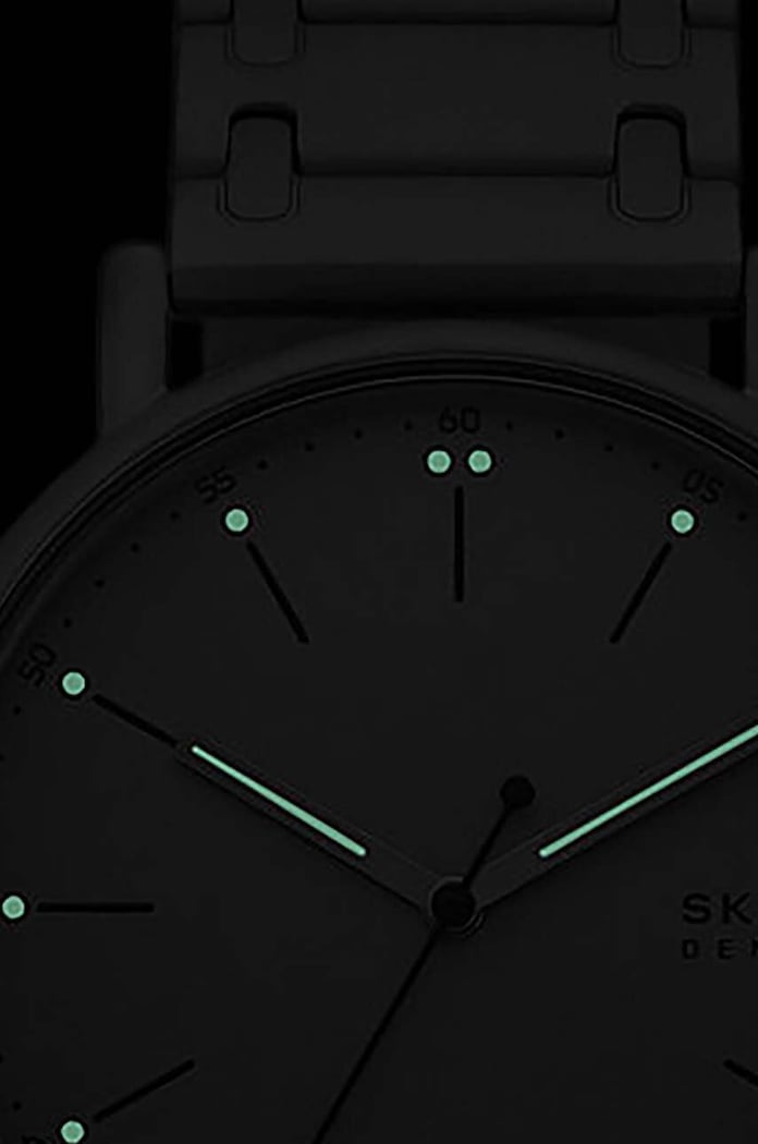 Skagen zegarek szary SKW6913