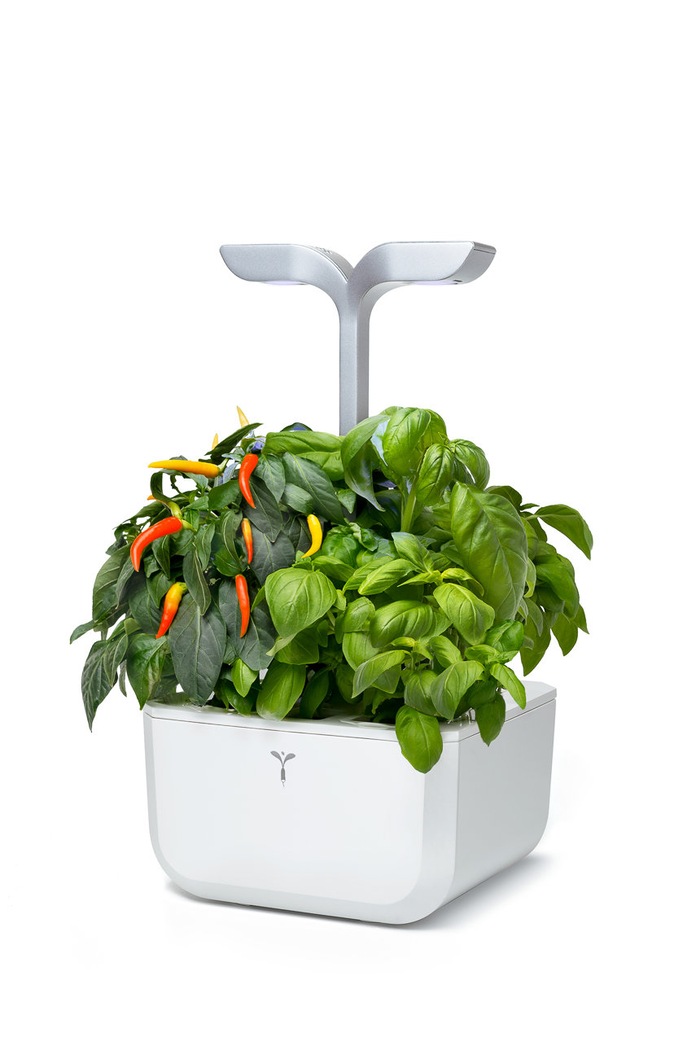 Veritable - Gradina de casa autonoma Exky Smart alb VEXK.SAWAS.FR.40