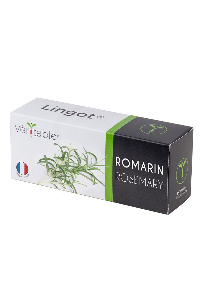 Veritable Insertie de seminte rozmarin multicolor VLIN.A10.Rom007