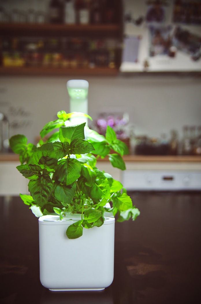 Click & Grow Gradina de casa autonoma Smart Garden 3 SG3WT