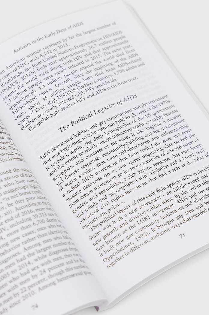 Βιβλίο Muswell Press LGBTQ Social Movements, LM Stulberg 9780745656083 πολύχρωμο AA00