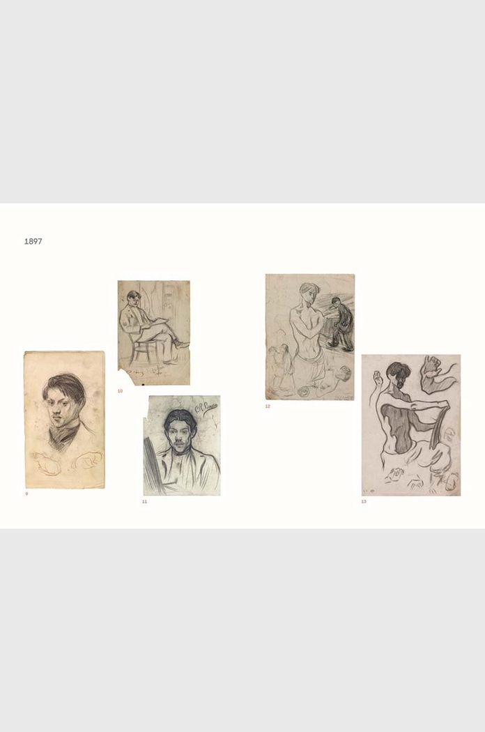 Knjiga Picasso - The Self Portraits, Pascal Bonafoux, English | kupite ...