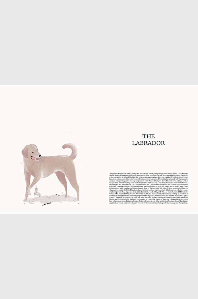 Βιβλίο DOG - Stories of Dog Ownership by Julian Victoria, English HG1130 πολύχρωμο AA00