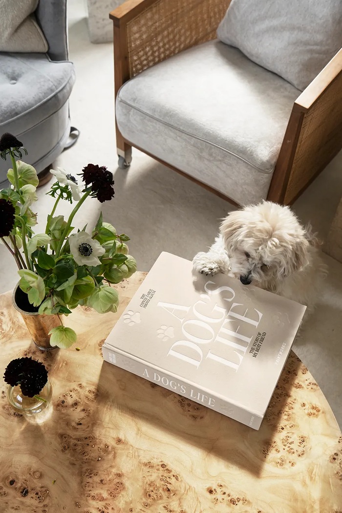 Άλμπουμ φωτογραφιών Printworks A Dog’s Life PW00621 μπεζ