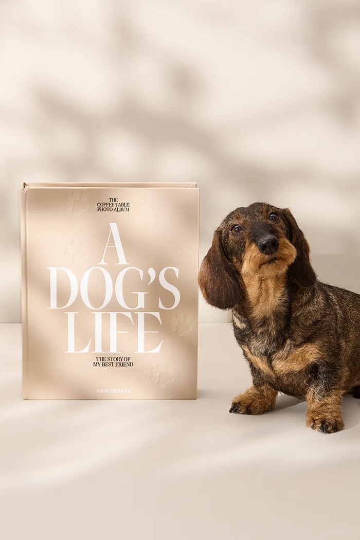 Άλμπουμ φωτογραφιών Printworks A Dog’s Life PW00621