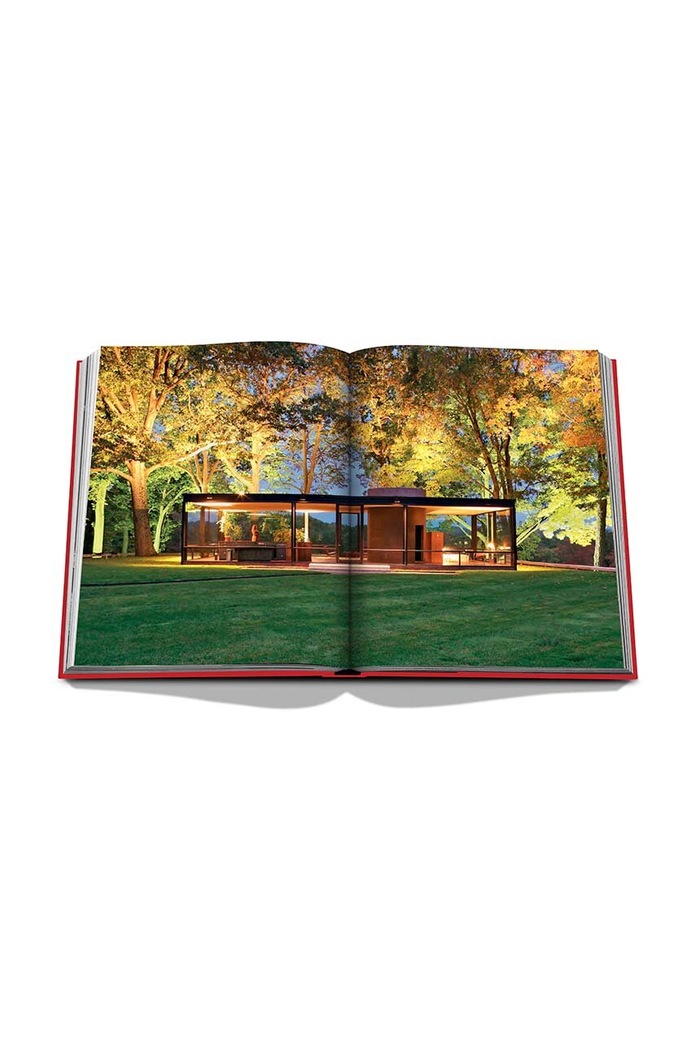 Kniha Assouline Bauhaus Style by Mateo Kries, English 3-pak 9781649802026