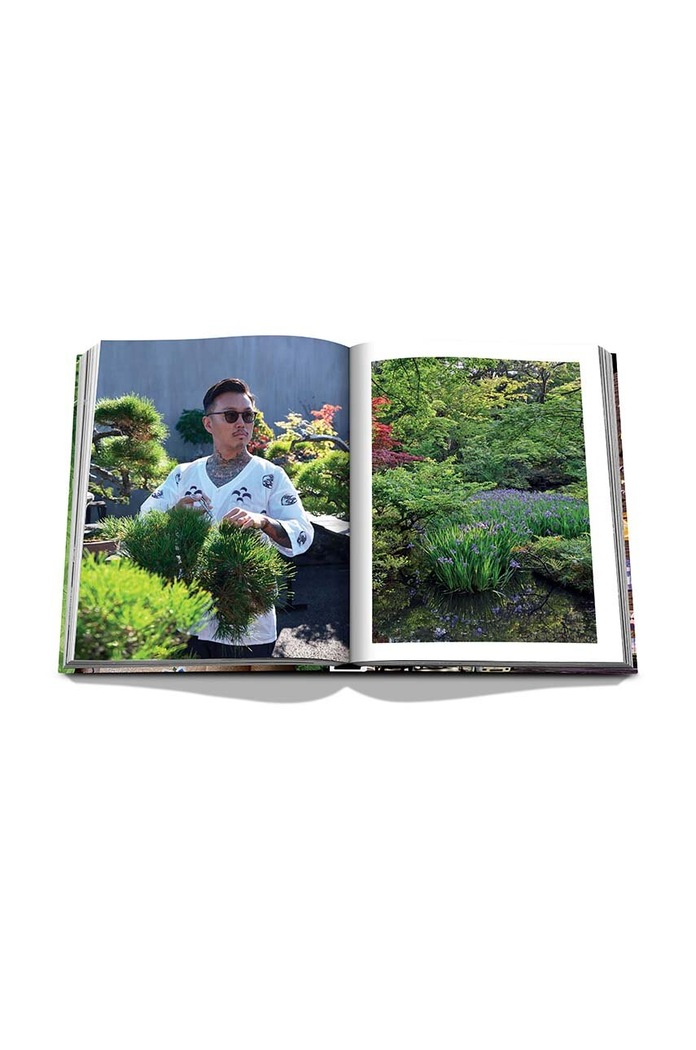 Assouline książka Tokyo Chic by Andrea Fazzari, English 9781649802361
