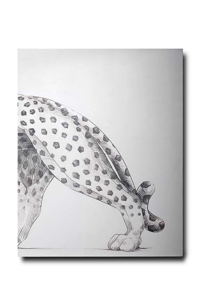 Knížka Assouline Cartier Panthere by Vivienne Becker, English 9781614284284 vícebarevná AA00