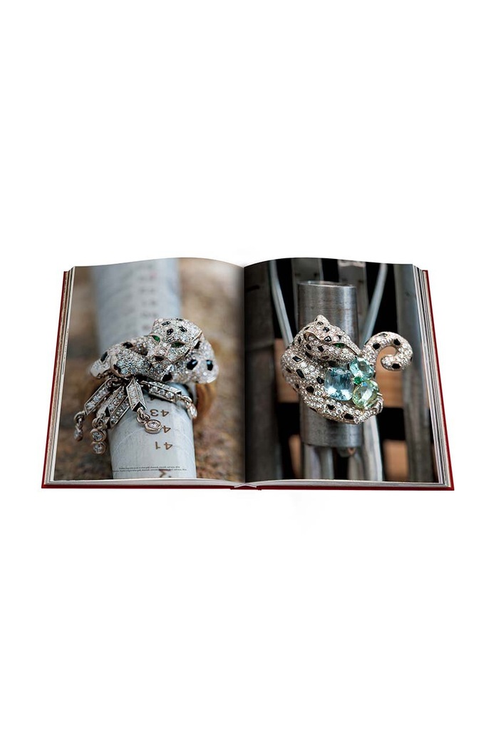 Knížka Assouline Cartier Panthere by Vivienne Becker, English 9781614284284