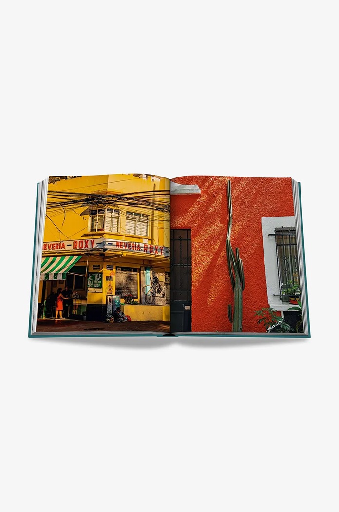 Kniha Assouline Mexico City by Aleph Molinari, Anfisa Vrubel, English 9781649802514