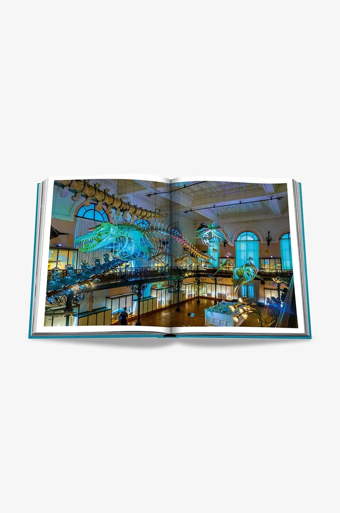 Kniha Assouline Monte Carlo by Ségolene Cazenave Manara, English 9781649802002