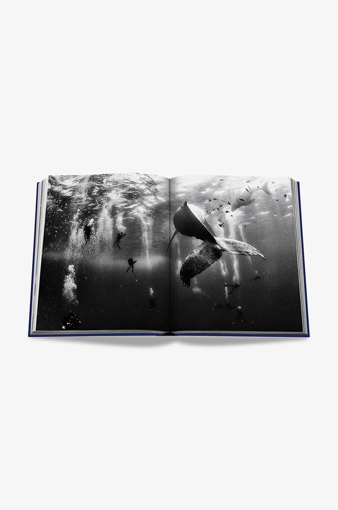 Kniha Assouline Ocean Wanderlust by Kevin Koenig, English 9781649802644