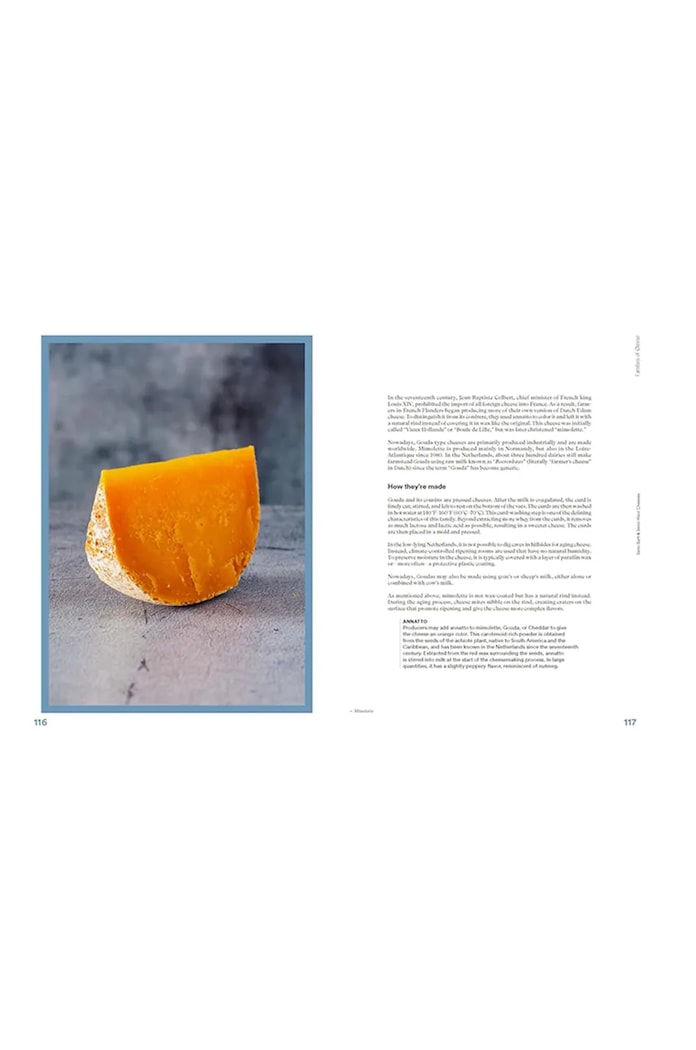 Lifestyle Knížka home & lifestyle The Complete Book of Cheese by Anne-Laure Pham, English TH1707 vícebarevná