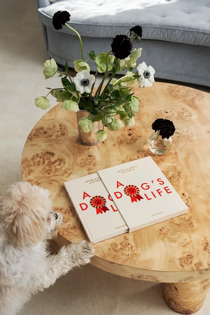 Printworks jurnal A Dog's Life 23,8 x 18,9 cm PW00764