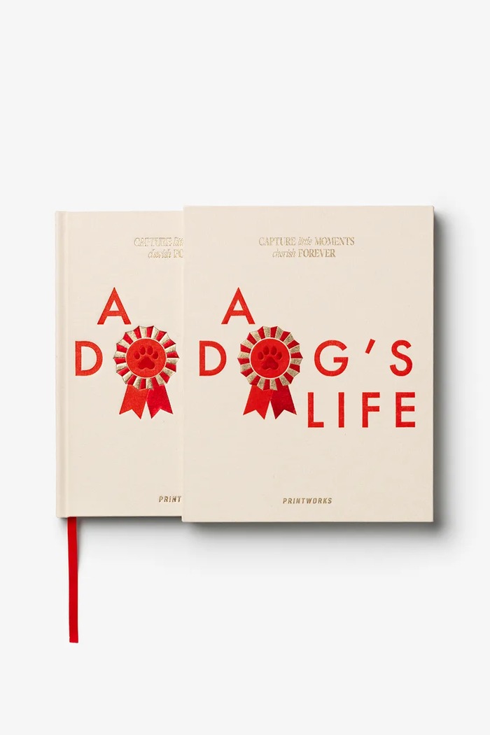 Printworks jurnal A Dog's Life 23,8 x 18,9 cm PW00764 multicolor AA00