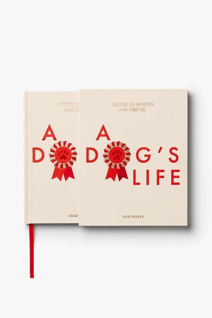 Printworks jurnal A Dog's Life 23,8 x 18,9 cm PW00764 multicolor AA00