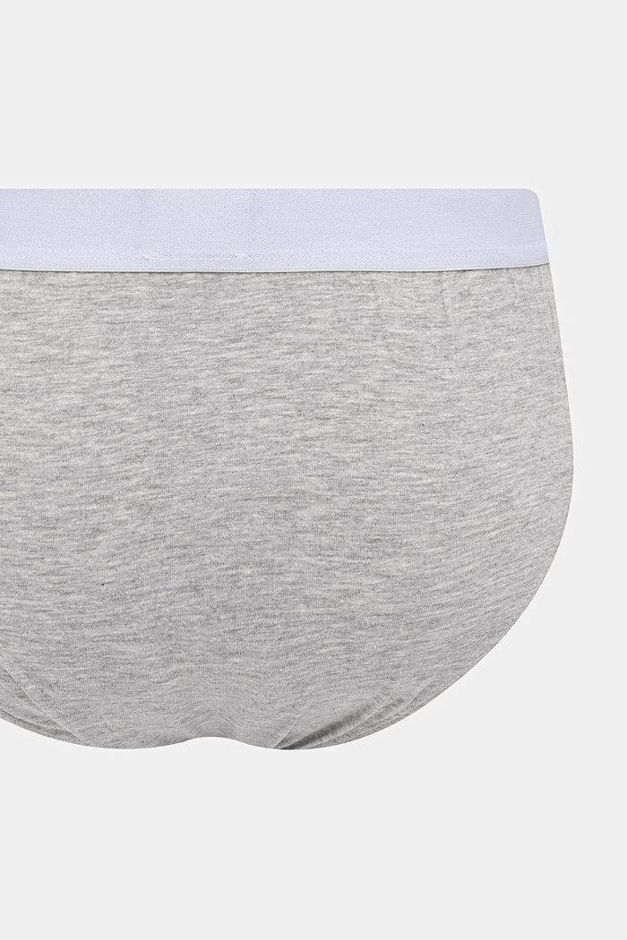 Oblačila Moške spodnjice Trussardi 2-pack TRU2USP01 siva