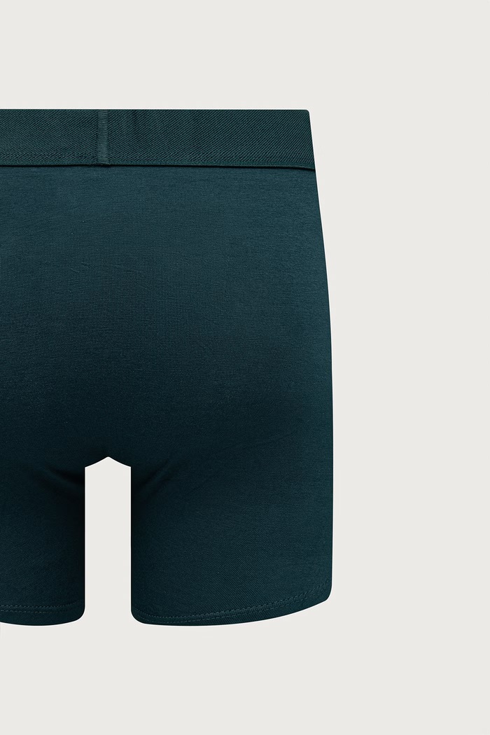 Oprijete boksarice moške bombažne z elastanom paket 2 kosov Levi's 37149.1417 zelena