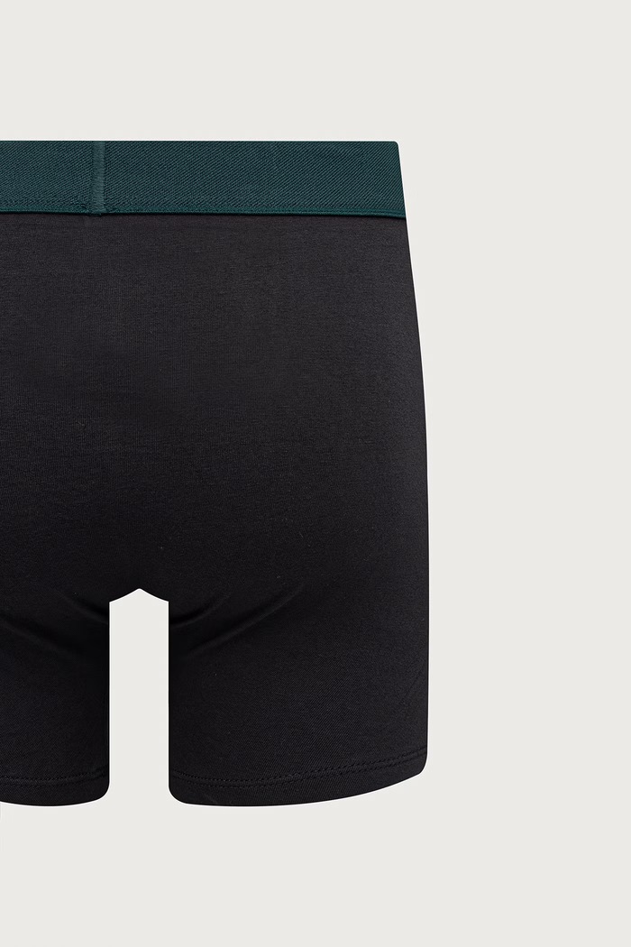 Oprijete boksarice moške bombažne z elastanom paket 2 kosov Levi's zelena 37149.1417