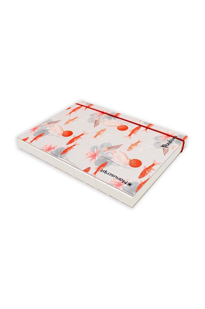 Lifestyle Manuscript taccuino Plastilina 2019 pl.2019.plus multicolore