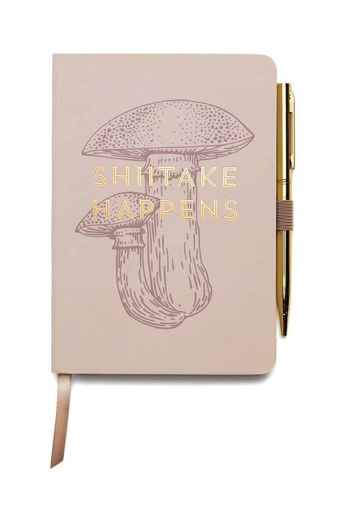 Zápisník a pero Designworks Ink Vintage Sass béžová NWP.1003EU
