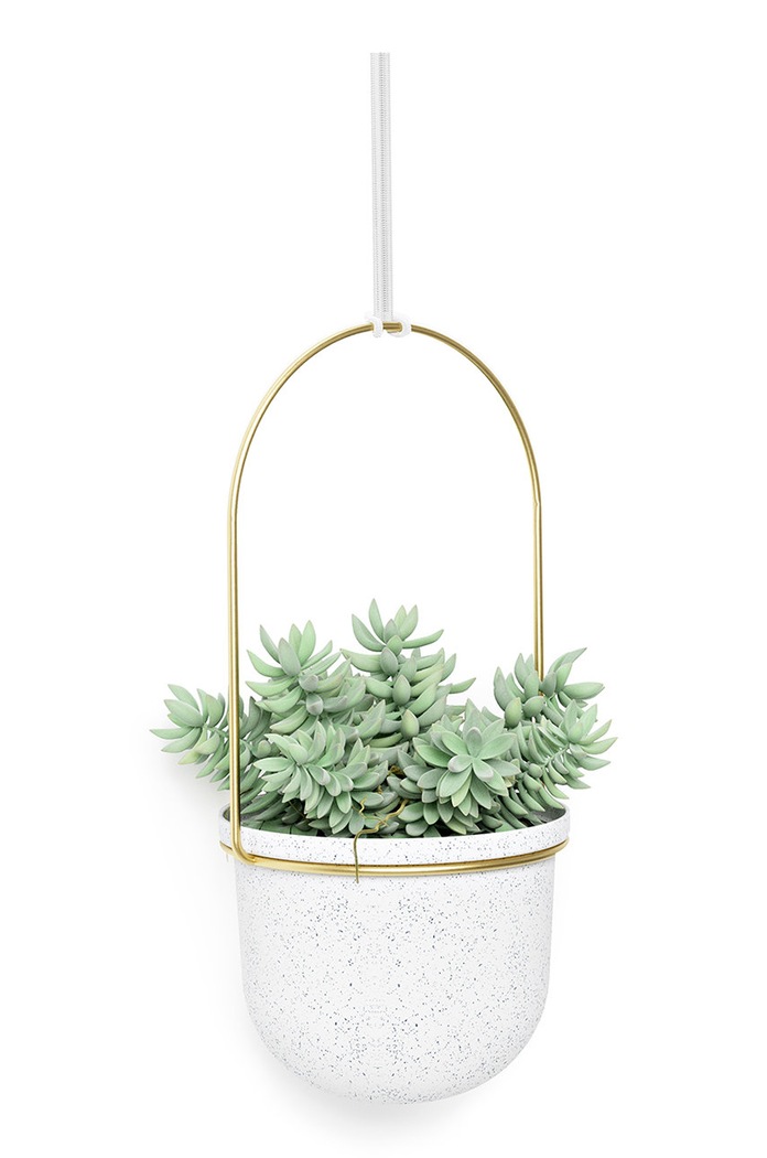 Umbra zestaw doniczek ściennych (5-pack) biały 1018086.524