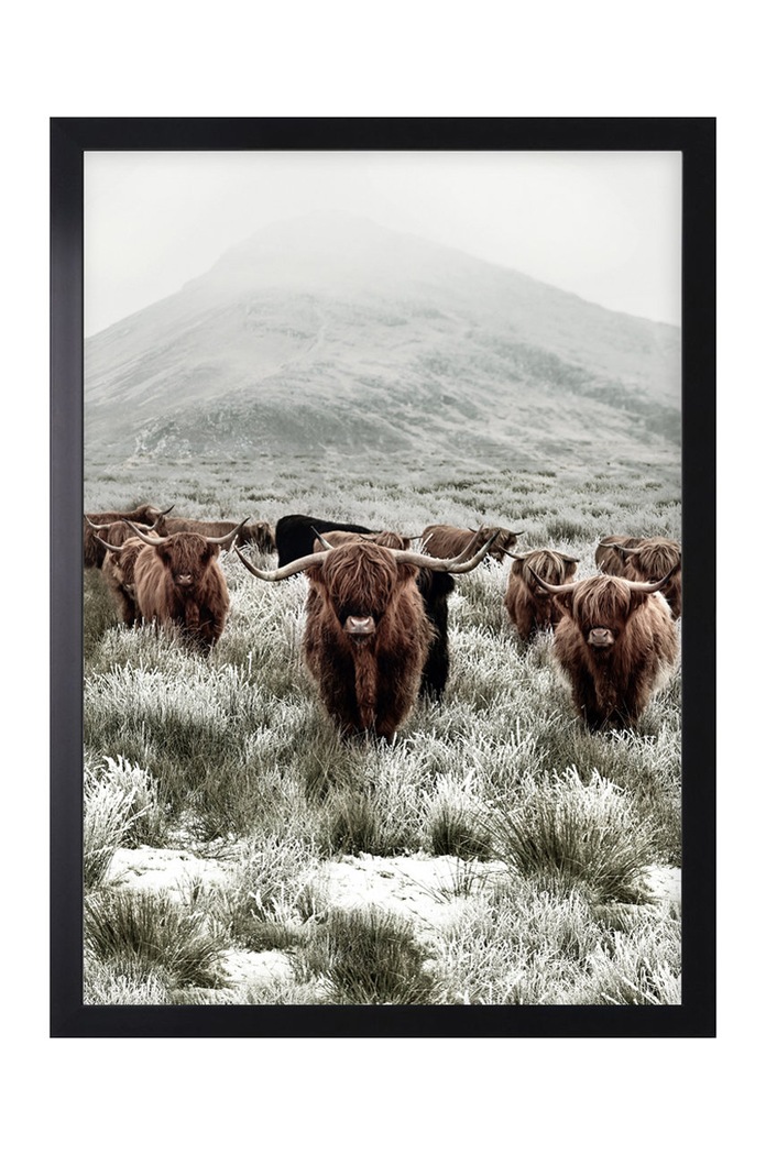 uokvirjen plakat črna AN0005