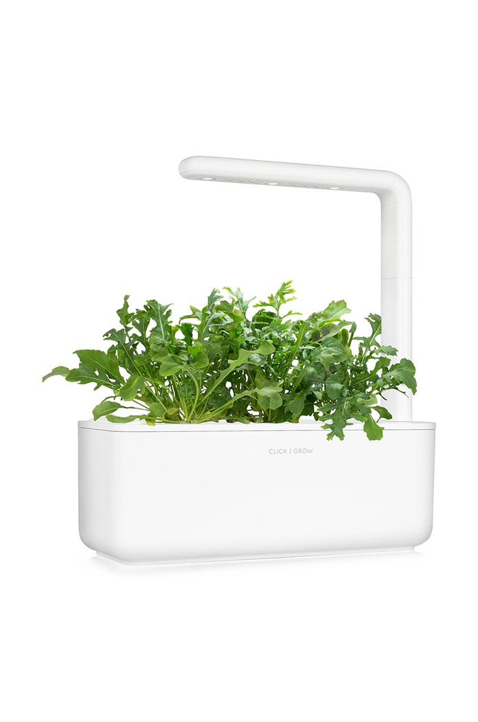 Click & Grow wkład nasienny Rukola ARUGULA multicolor AA00