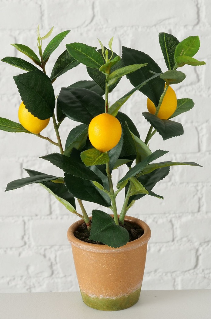 Boltze sztuczne drzewko w doniczce Lemon 2017429 zielony AA00