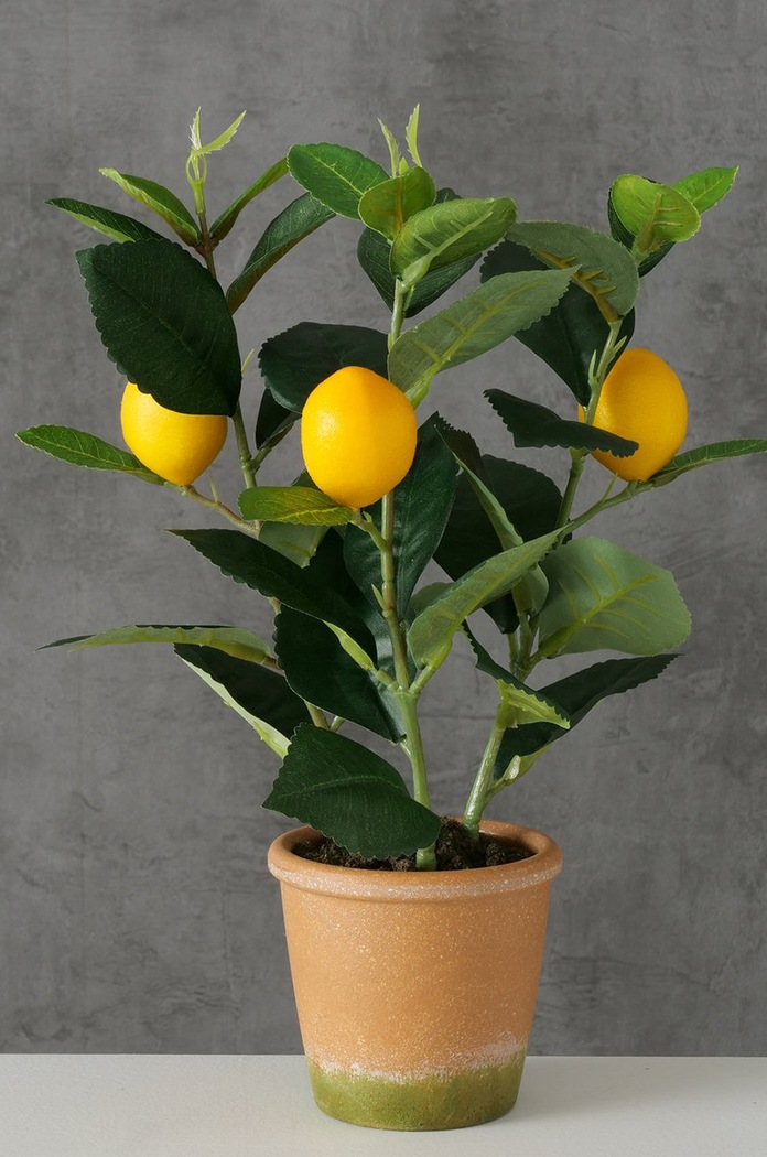 Boltze sztuczne drzewko w doniczce Lemon 2017429 zielony