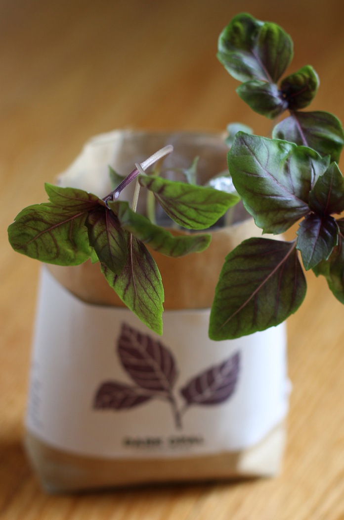 Lifestyle Noted set pentru cultivarea unei plante Cultivate & Eat - Dark Opal GD658BEU.OPAL multicolor
