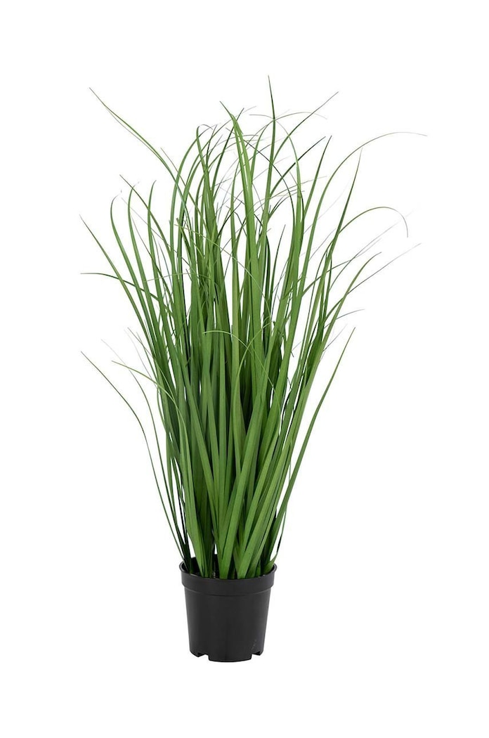 Τεχνητό φυτό σε γλάστρα House Nordic Poa Grass πολύχρωμο 9501080
