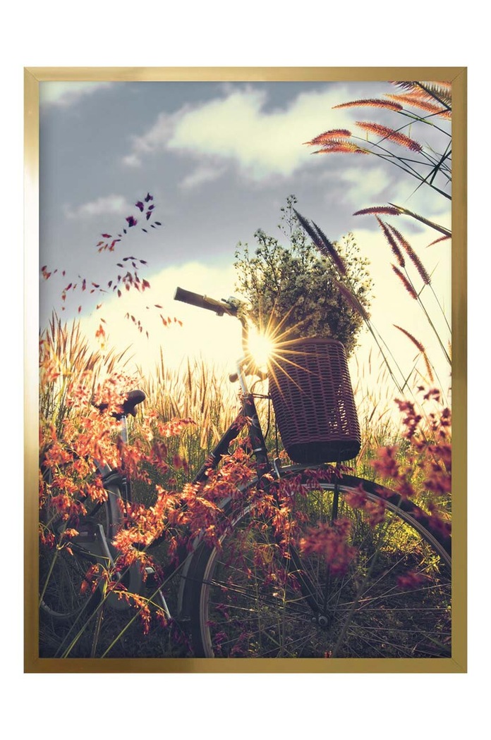 Reprodukcja na papierze w ramie 50x70 cm multicolor 1541201.5197