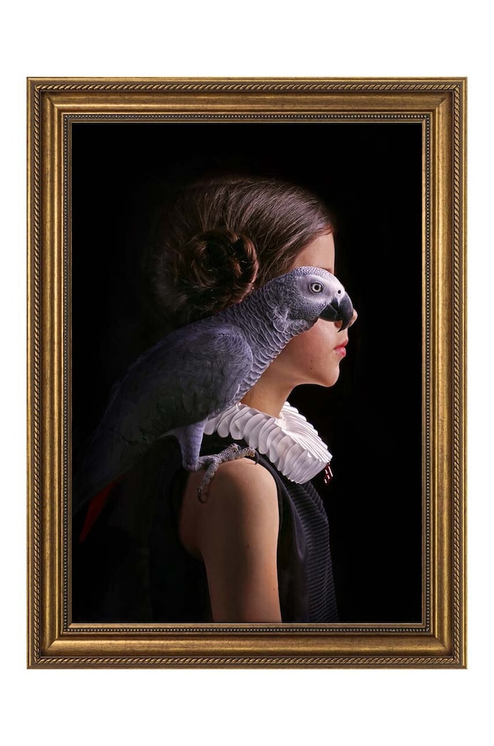 Reprodukce na zarámovaném papíře 50x70 cm vícebarevná 1541601.5330