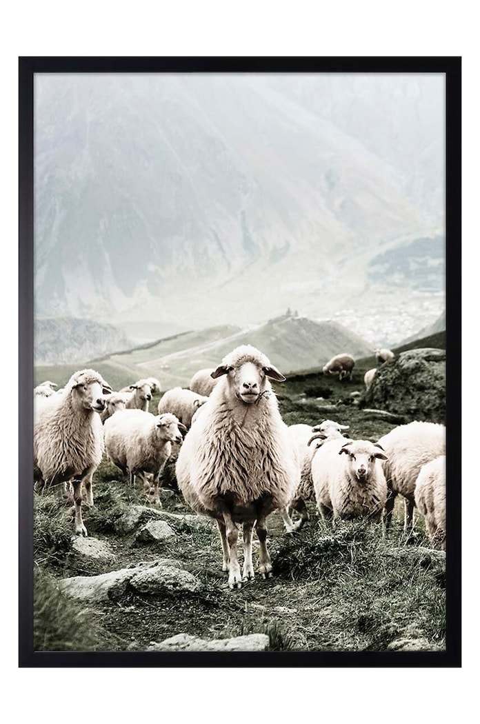 Reprodukce na zarámovaném papíře 50x70 cm vícebarevná 1541201.6067