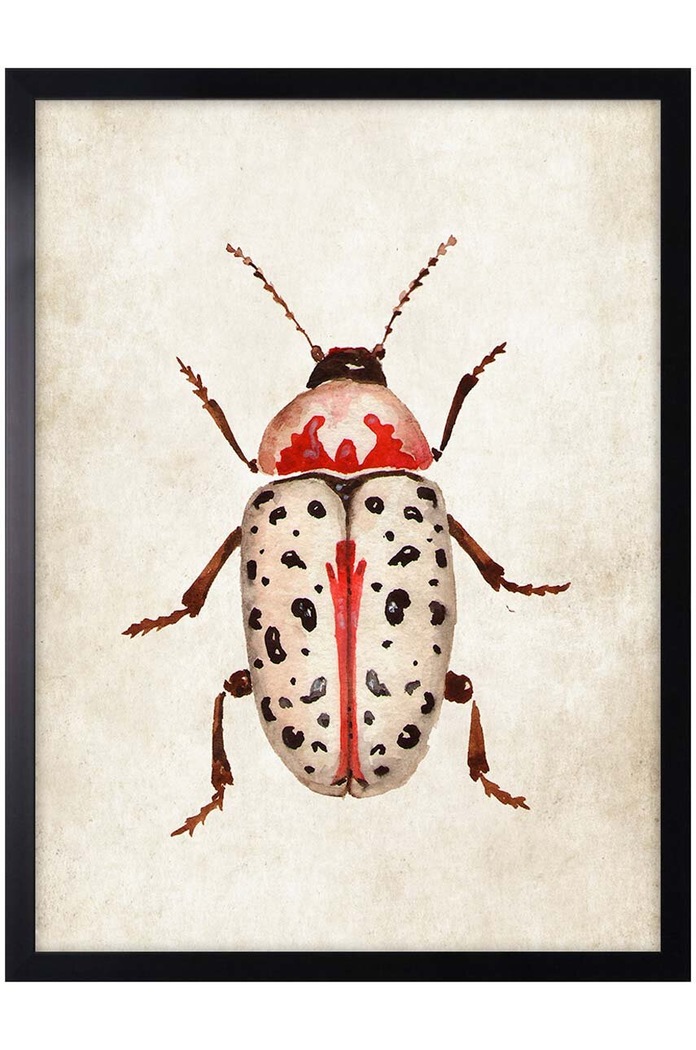 decor de perete pe hârtie înrămată 30x40 cm multicolor AN0034.